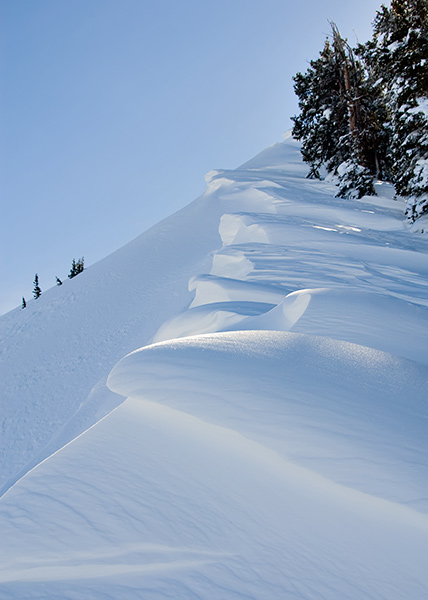 high ivory cornice